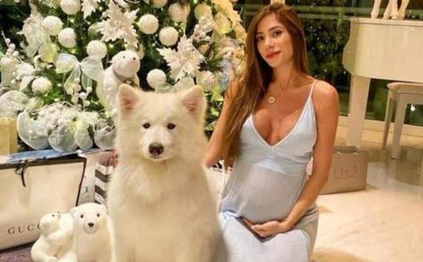 Cachorro de Alok é internado após comer pedras em condomínio; mulher de DJ mostra raio-x: 'Que susto passamos'