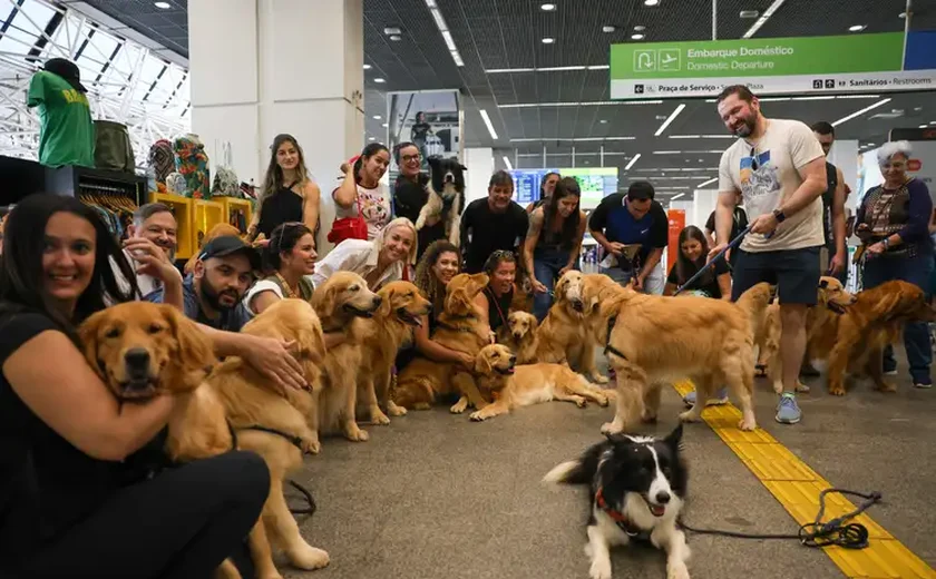 Após morte de Joca, tutores se manifestam no aeroporto de Brasília