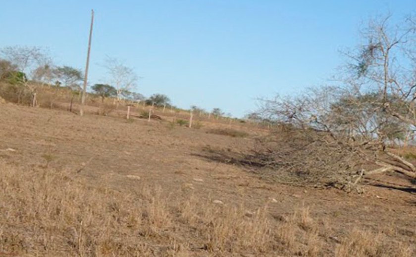 Arapiraca receberá ajuda contra efeitos da seca
