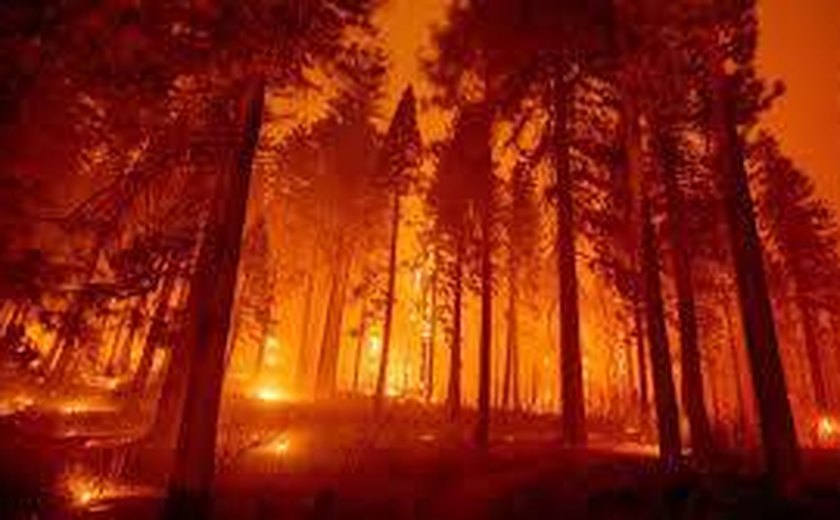 Vento e temperaturas aumentam enquanto incêndios florestais queimam o norte da Califórnia