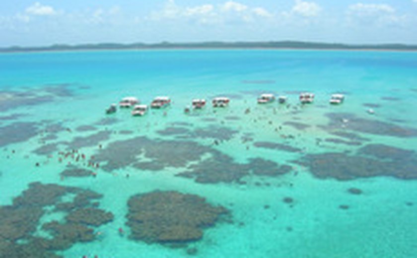 Praia do Litoral Norte de Alagoas vai do cenário natural ao nacional