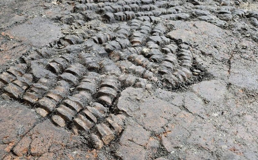 Misterioso piso de ossos antigos é descoberto nos Países Baixos (FOTOS)