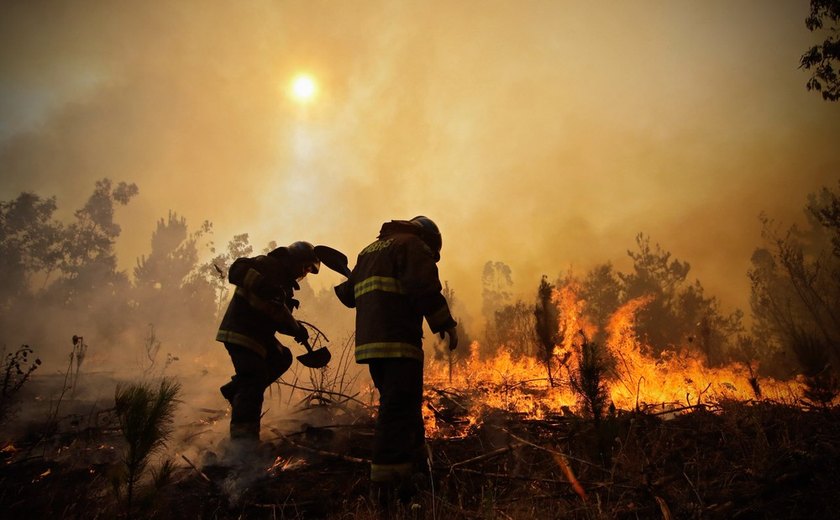 Brasil envia aeronaves e militares ao Chile para ajudar no combate aos incêndios
