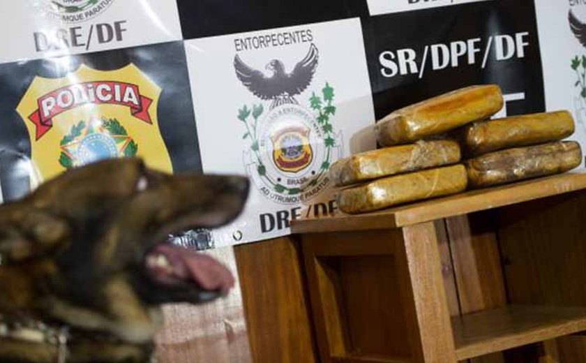 Operação da PF combate tráfico interestadual de drogas