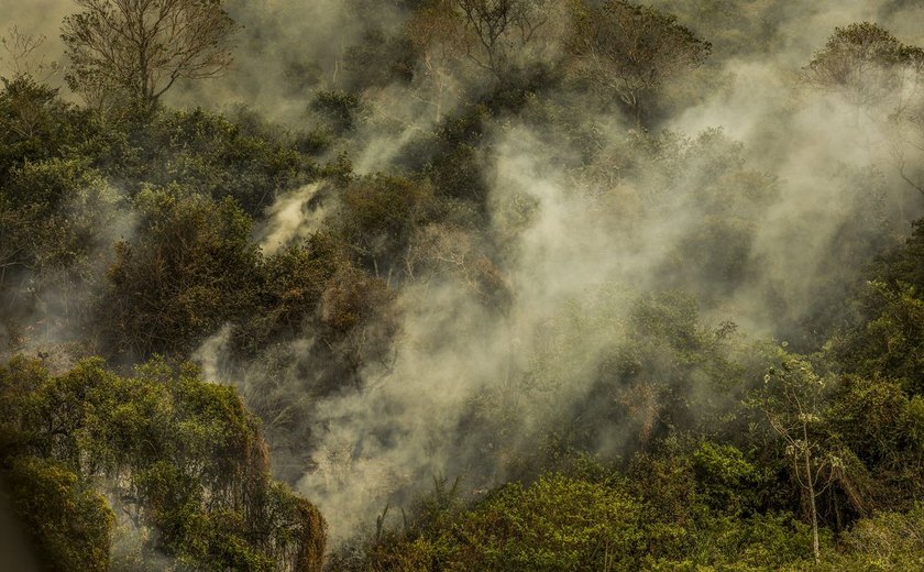 Rondônia declara situação de emergência por incêndios florestais