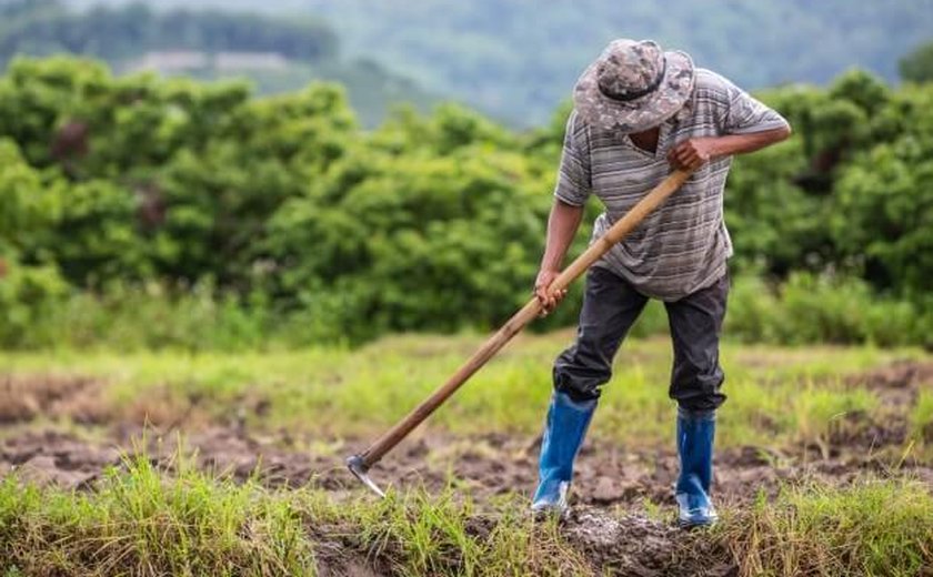 Imea/Senar: Mais de 70% dos produtores rurais de MT têm dificuldade em achar mão de obra