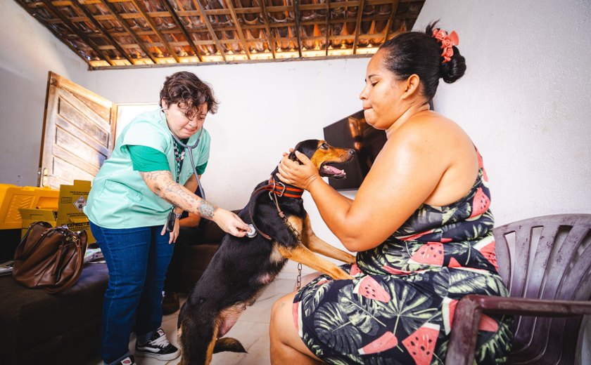 Prefeitura de Maceió garante atendimento veterinário a quem mais precisa