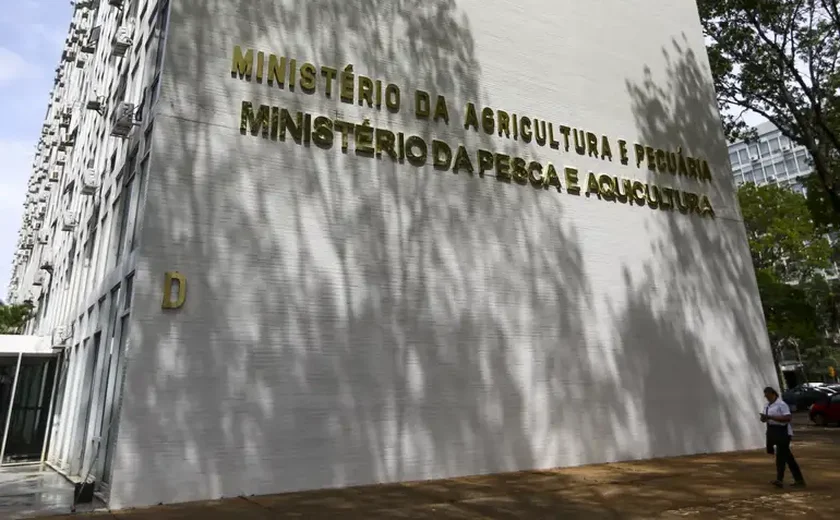 Ministério da Agricultura alerta para risco de consumo de lotes de 3 marcas de café