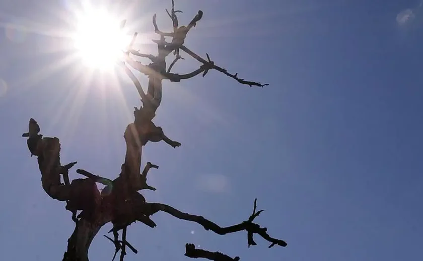 Seca e calor levam cidades de SP a decretar racionamento de água; veja quais
