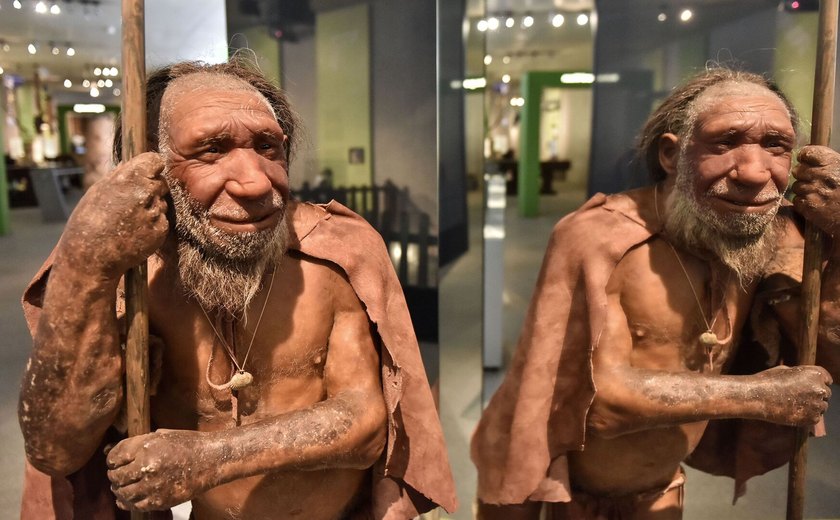 Desenterram na China ferramentas de madeira de 300 mil anos usadas para cavar (FOTOS)