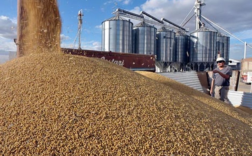 Capacidade de armazenamento agrícola teve retração, diz IBGE
