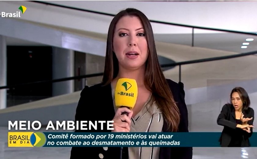 Governo Lula cria comissão para enfrentar desmatamentos e queimadas
