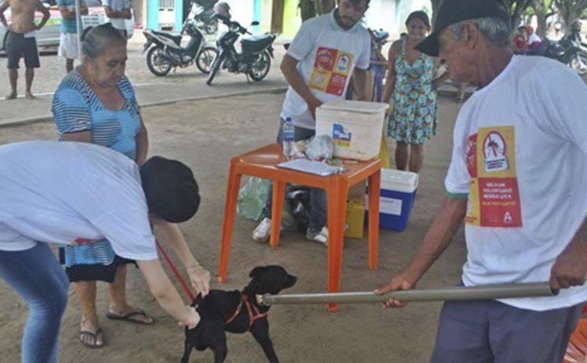 Prefeitura de Arapiraca mantém vacinação antirrábica