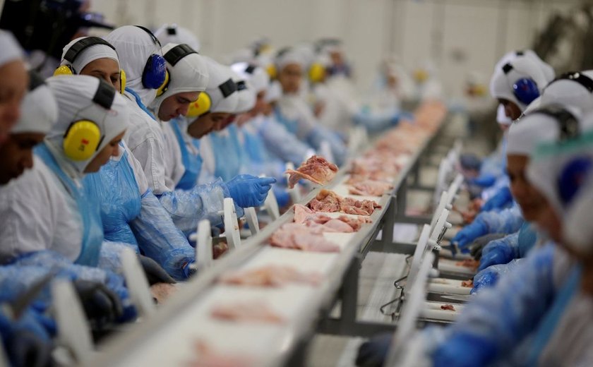 ‘Ansiedade de frango’: cresce nas redes relatos de pessoas com medo do ponto da carne fazer mal à saúde; qual é o seguro?