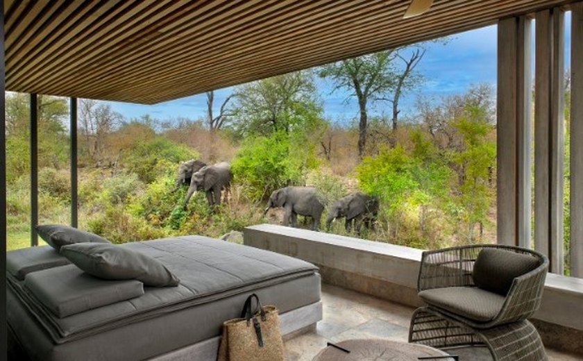 Com arquitetura que une design contemporânea e imersão na natureza, hotel sul-africano representa nova era nos safáris de luxo