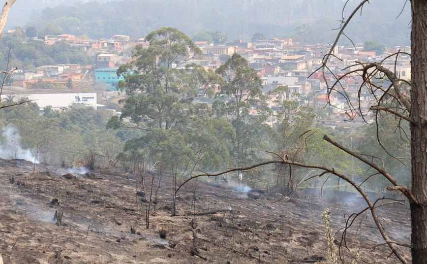 Estado de São Paulo amanhece com 11 focos de incêndio