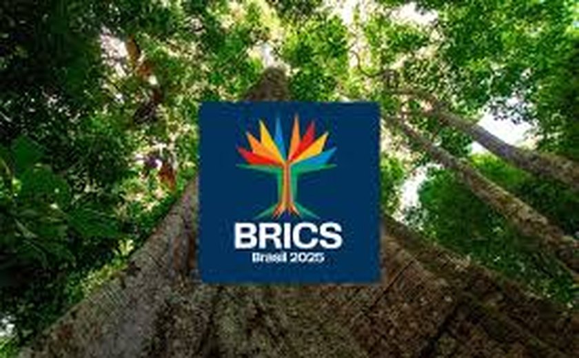 Brics Brasil: Data centers serão responsáveis por 10% do consumo global de energia, diz Elea