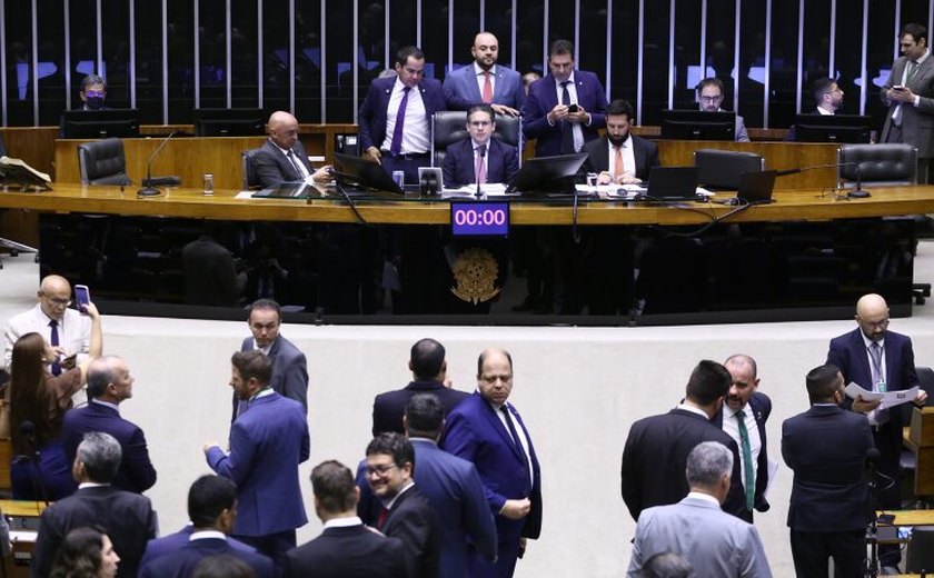 Deputados analisam projeto que proíbe uso de animais em testes de cosméticos; acompanhe