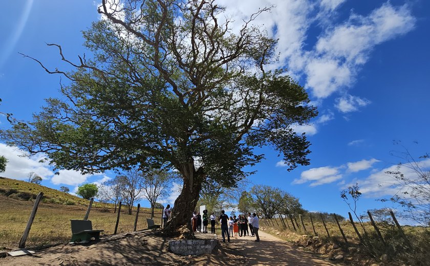 Encantos mil: City Tour revisita história de Arapiraca por meio de seus equipamentos turísticos