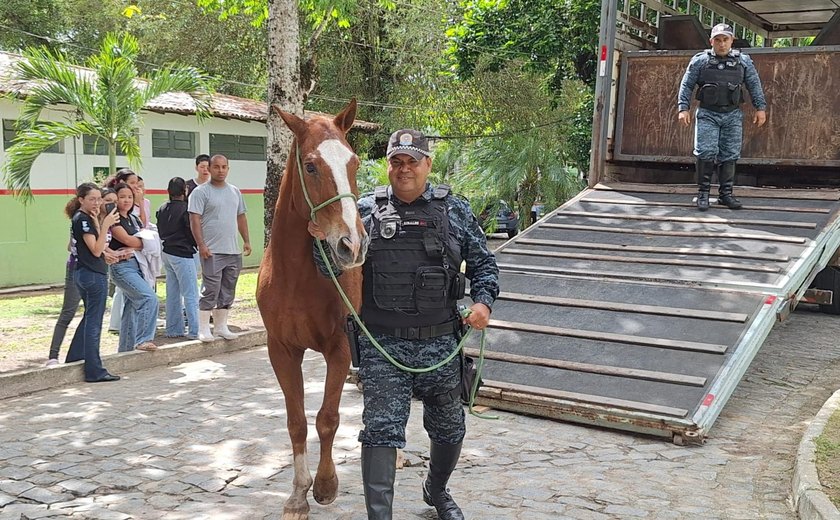 Cavalo da PM-AL é doado ao Ifal para uso em ensino e pesquisa agropecuária