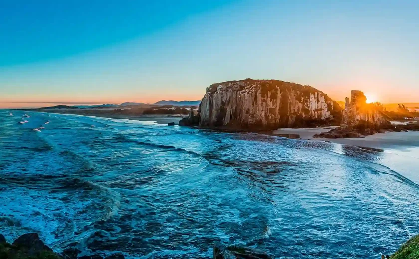 Caravelas-portuguesas são registradas em Balneário Camboriú e outras praias do litoral de SC