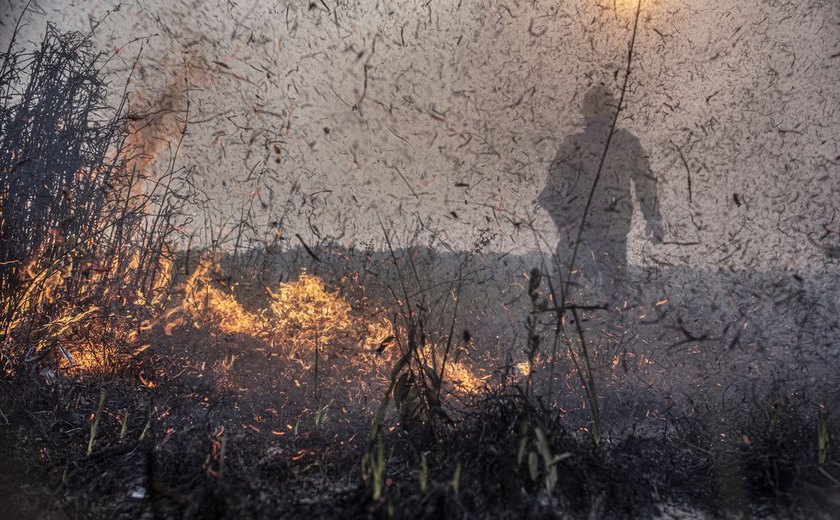 Focos de incêndios no Brasil já são 76% maior que em 2023
