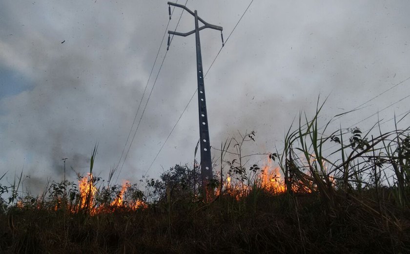 Queimadas deixam mais de 160 mil clientes sem energia