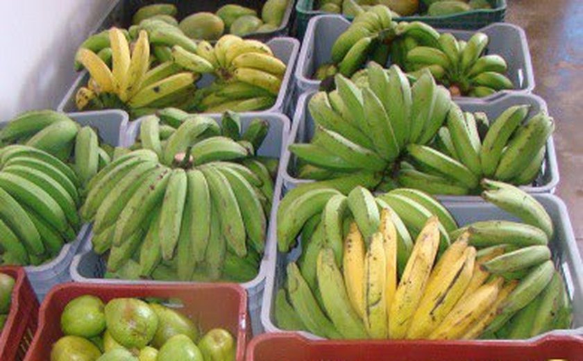 Unidade de Beneficiamento de Frutas irá beneficiar cerca de 2 mil agricultores