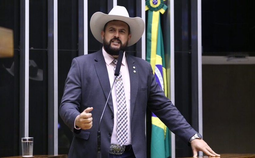Projeto destina cavalos vítimas de maus-tratos para centros de equoterapia