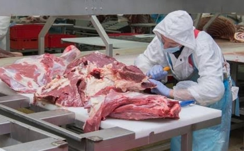 Carne terá imposto zero na Reforma Tributária? Veja o que esperar hoje de relatório do grupo de trabalho na Câmara
