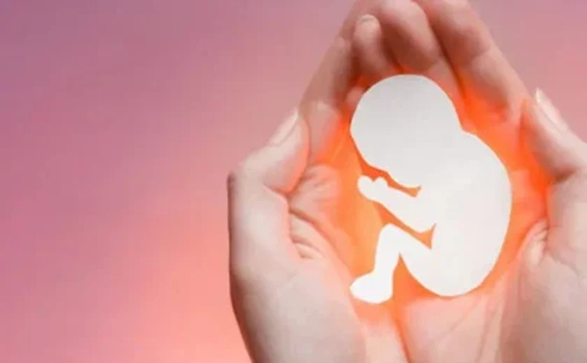 CNBB pede aprovação de projeto que equipara aborto a homicídio