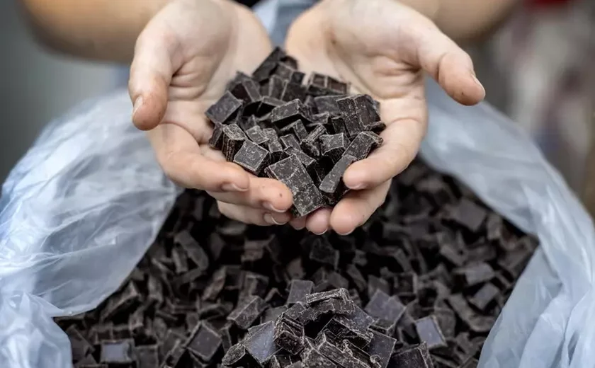 Bactérias são cruciais para sabor do chocolate, diz estudo
