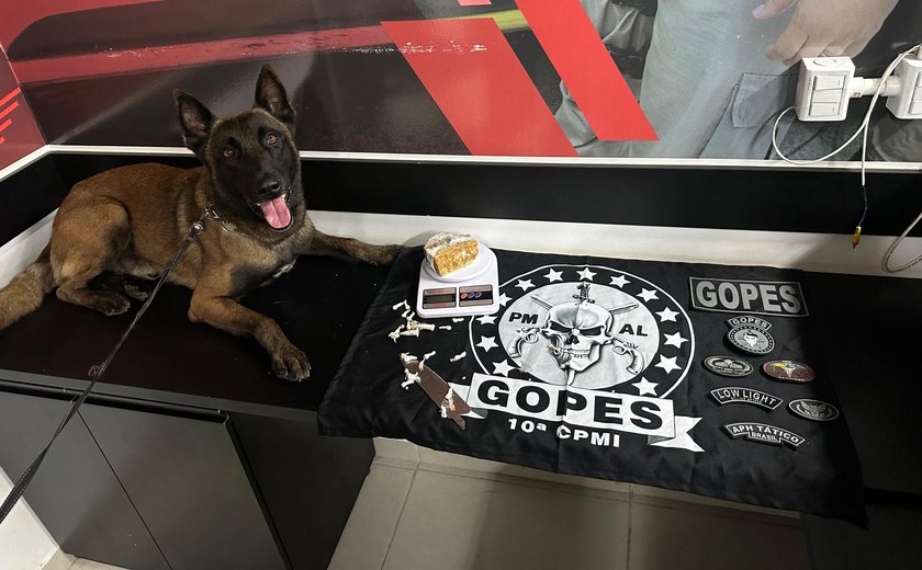 Polícia Militar apreende quatro armas, mais de 1 kg de drogas e recupera veículo roubado em operações
