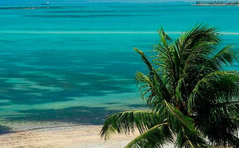 IMA aponta 16 trechos de praias impróprias para banho em Alagoas