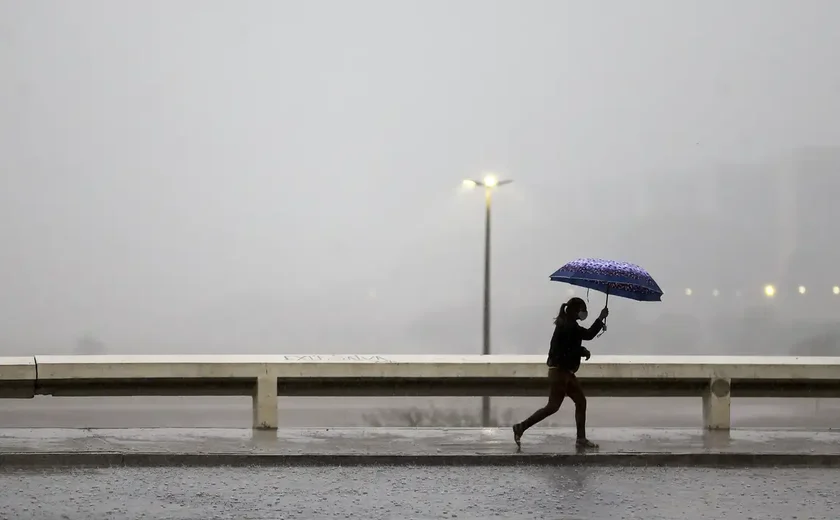 SP registra 'chuva' de fuligem; saiba o que é o fenômeno