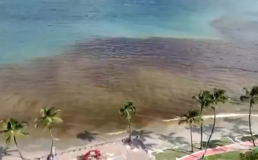 Floração de algas causaram a mancha escura na Praia de Ponta Verde, diz IMA