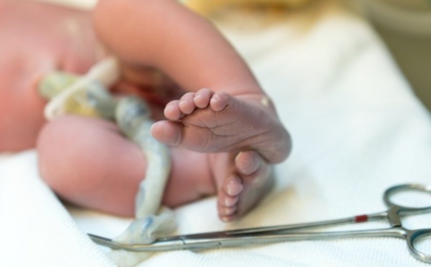 Criança com doença genética rara recebe transplante de células-tronco na Inglaterra