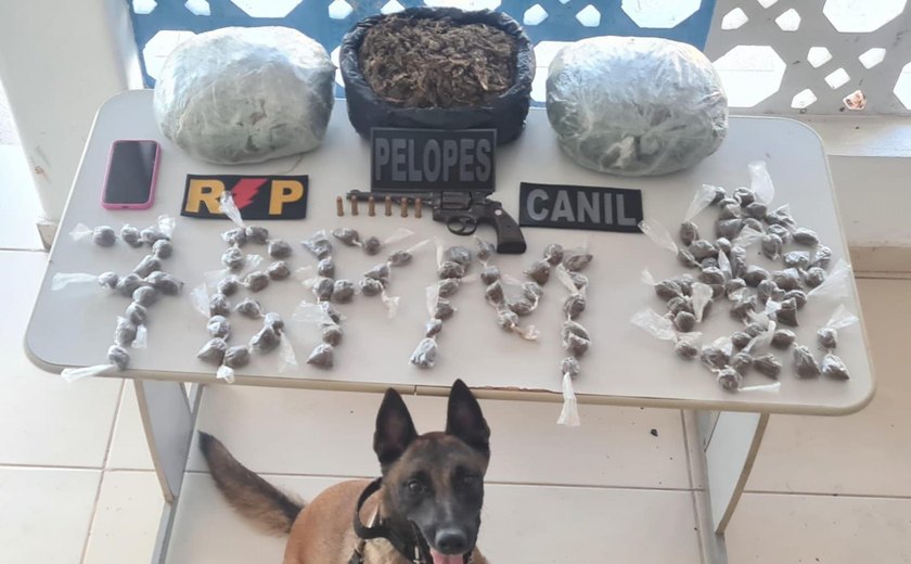 Guarnições do 7° Batalhão da PM apreendem droga e armas em abordagens no Sertão
