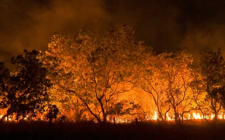 Tocantins inicia programa de prevenção contra focos de incêndio na área rural