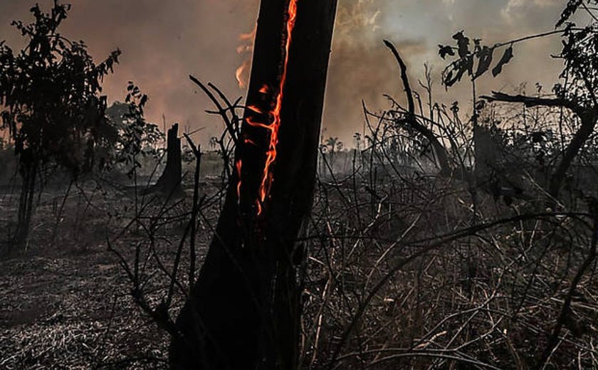 Passivo ambiental de empresas se torna fator de risco e afasta investidor