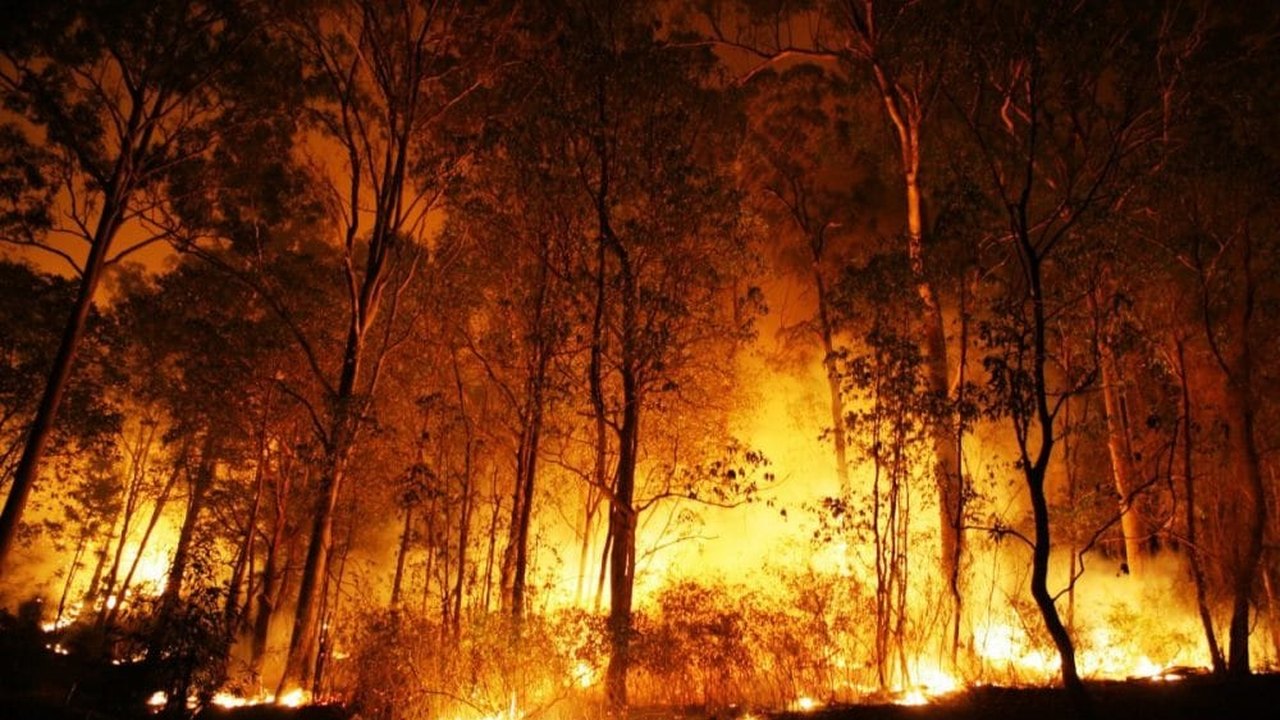Incêndios florestais no Canadá têm mil focos ativos; fogo ameaça cidades