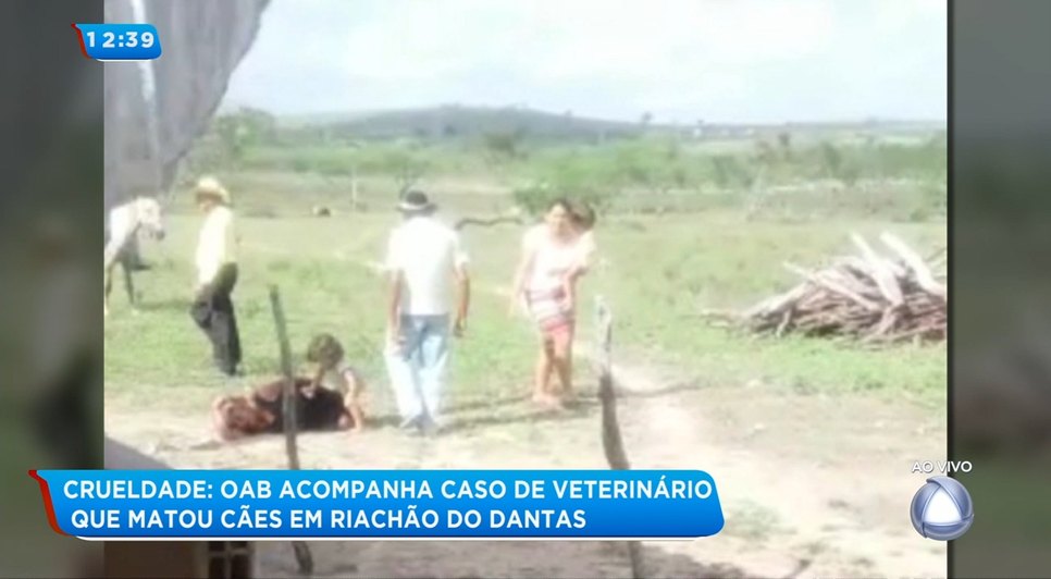 OAB cães Riachão dos Dantas