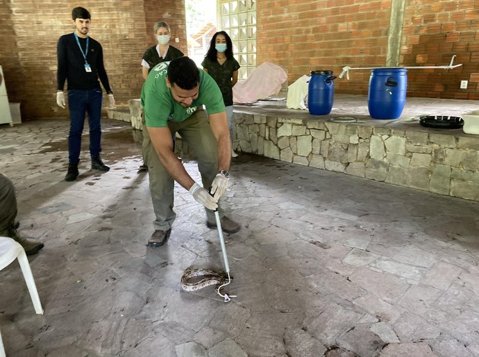 Técnicos do IMA participam de capacitação para manejo de animais silvestres