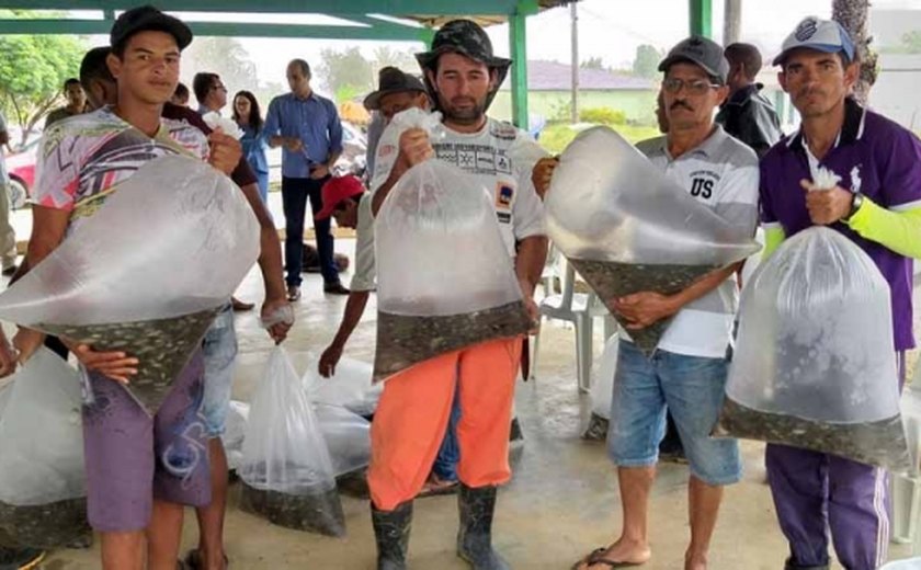 Seagri distribui 40 mil alevinos de tilápia a pequenos agricultores de Viçosa