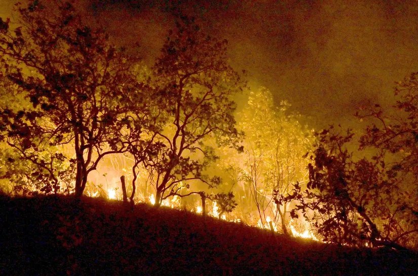 STF prorroga prazo para governo apresentar plano de ação para Amazônia