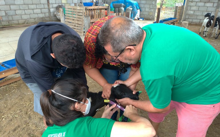 Programas de assistência técnica beneficiam pequenos e médios criadores em Arapiraca