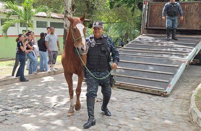 Cavalo da PM-AL é doado ao Ifal para uso em ensino e pesquisa agropecuária