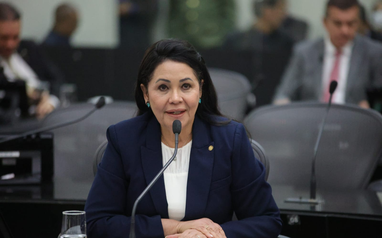 Rose Davino propõe protolo para atendimentos terapêuticos público e privado