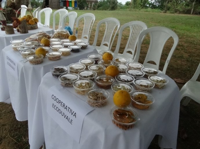 Agricultores comemoram II Seminário de Fruticultura