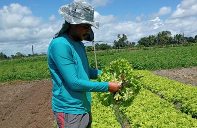 Estudo apoiado pelo Governo de Alagoas visa reduzir a dependência de importações agrícolas